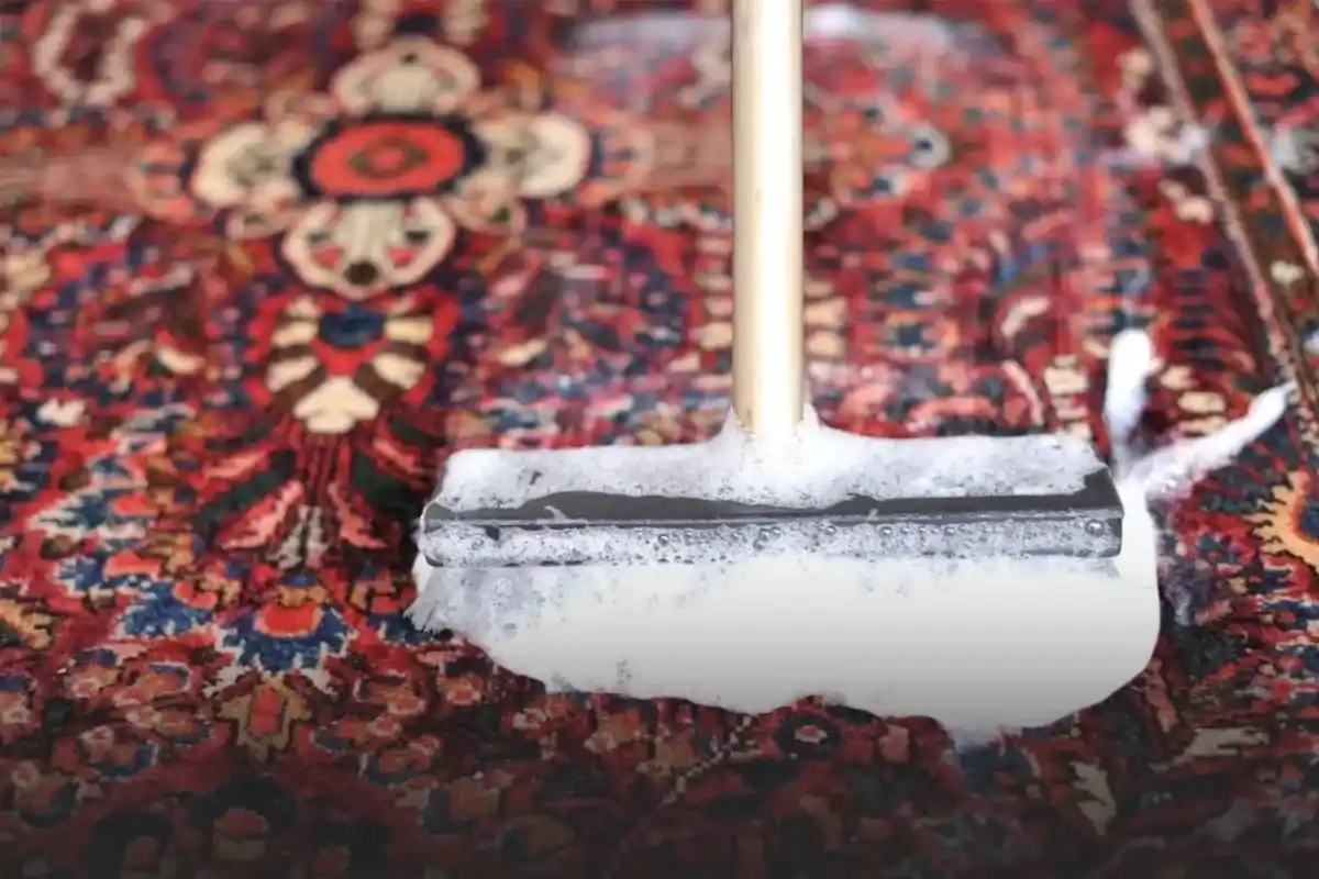 نکات پس از شستشوی فرش نجس